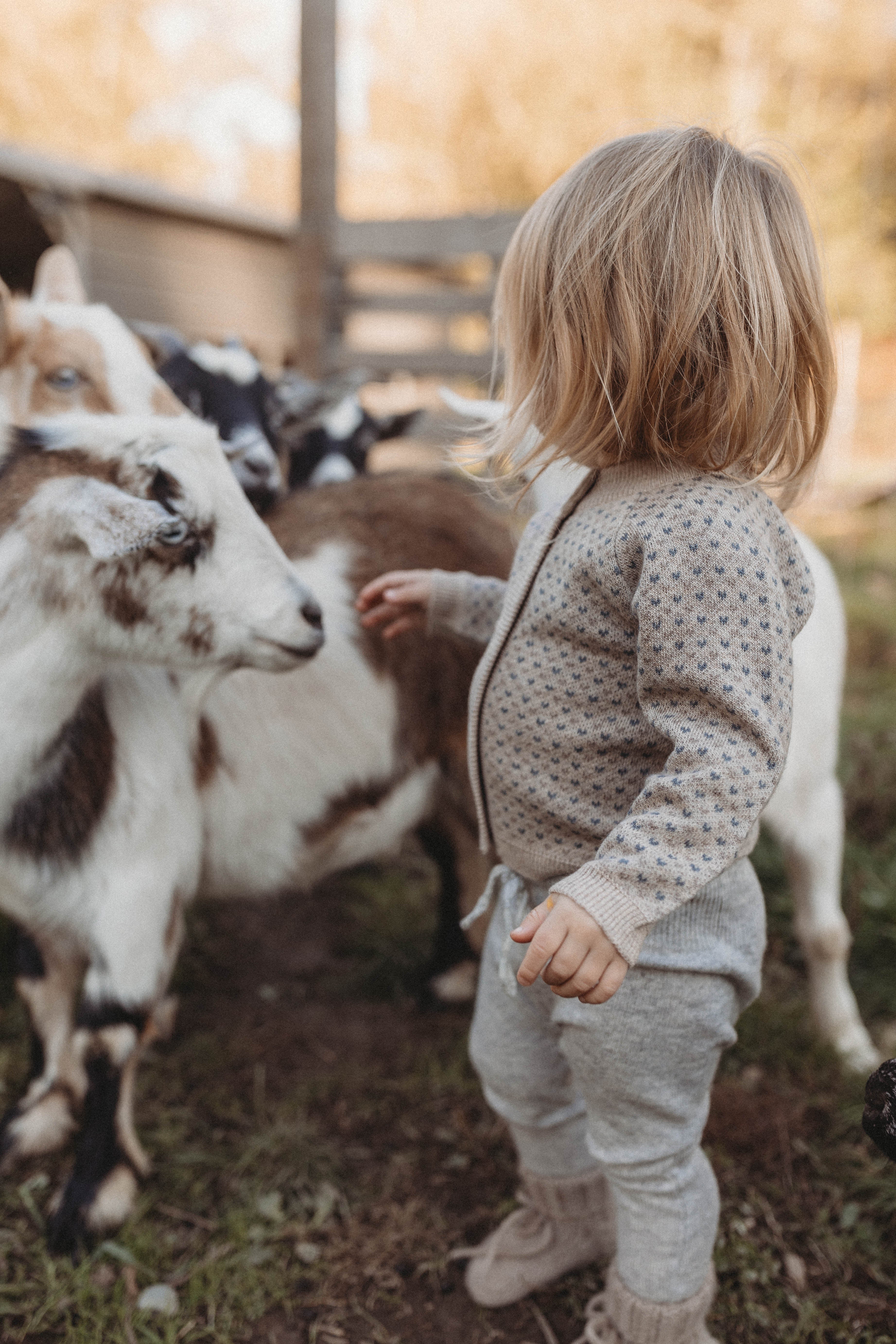 La Petit Lapin Cashmere Cardigan | Petit Coeur Natural | Playroom Avenue