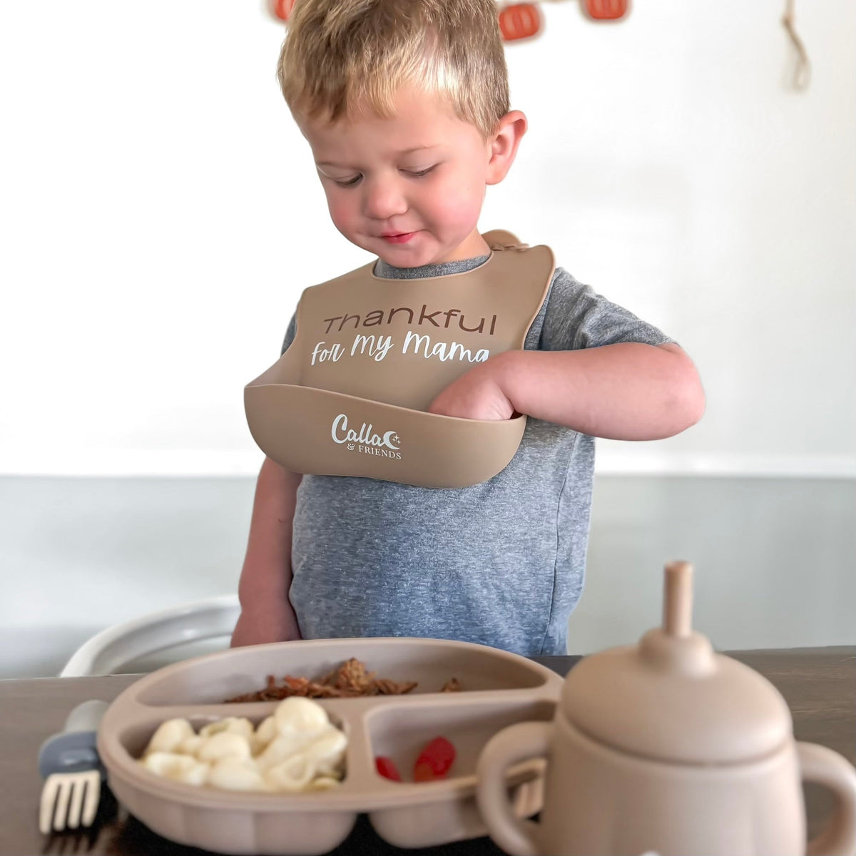 Little Turkey Collection Catch All Bib | Playroom Avenue