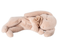Maileg Sleeping bunny plush, Small - Powder | Playroom Avenue