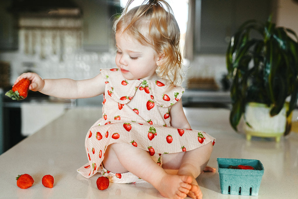 Milkbarn Strawberry Ruffle Collar Dress | Playroom Avenue