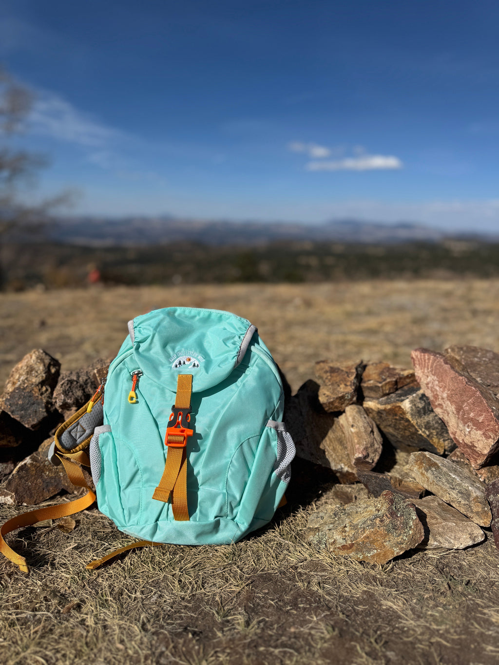 Keep the Littles Wild Kid’s (Ages 2 to 7) light blue Hiking Pack - Water Bladder System Compatible for Young Hikers | Playroom Avenue