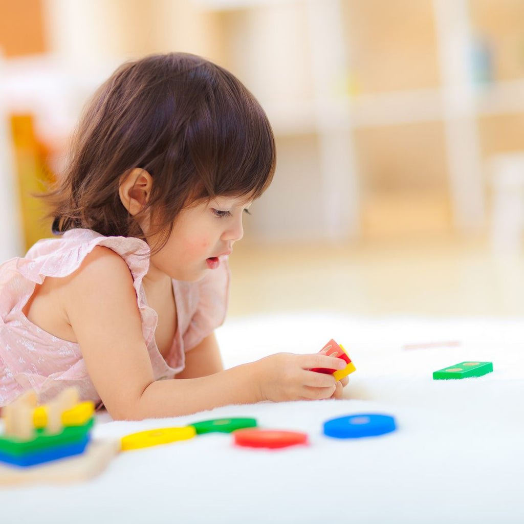 PlanToysPlanToys Sorting Board | Playroom Avenue