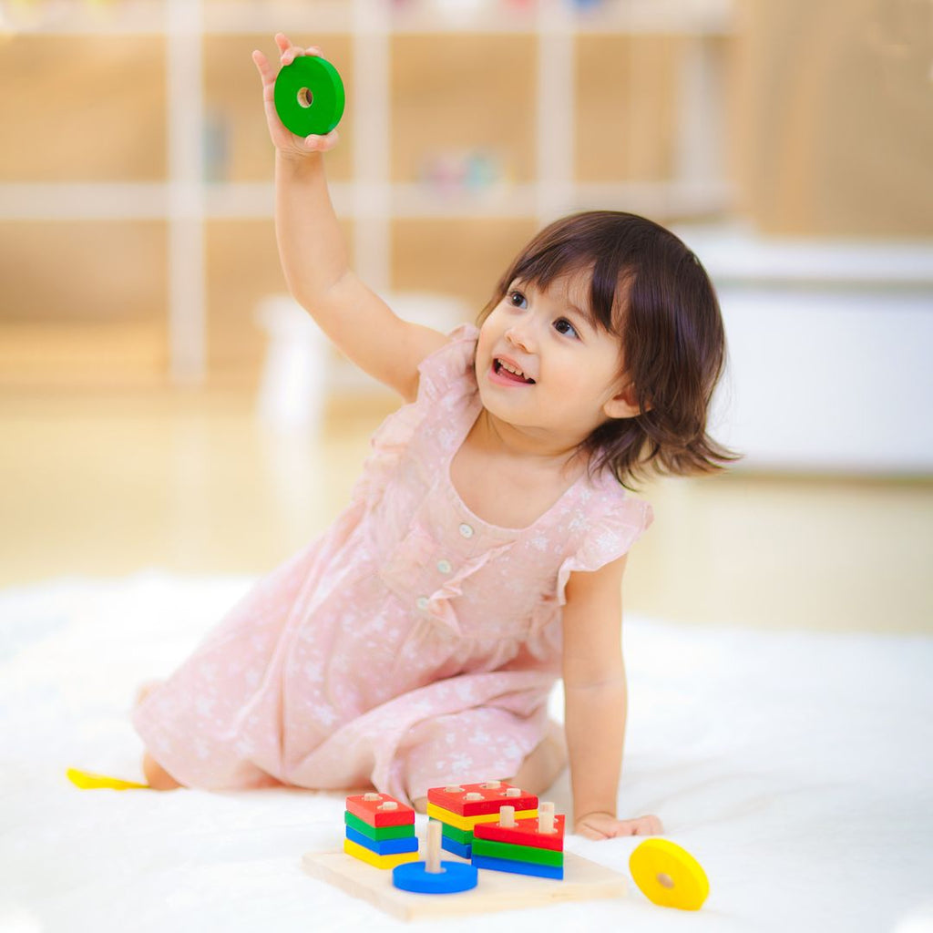 PlanToysPlanToys Sorting Board | Playroom Avenue