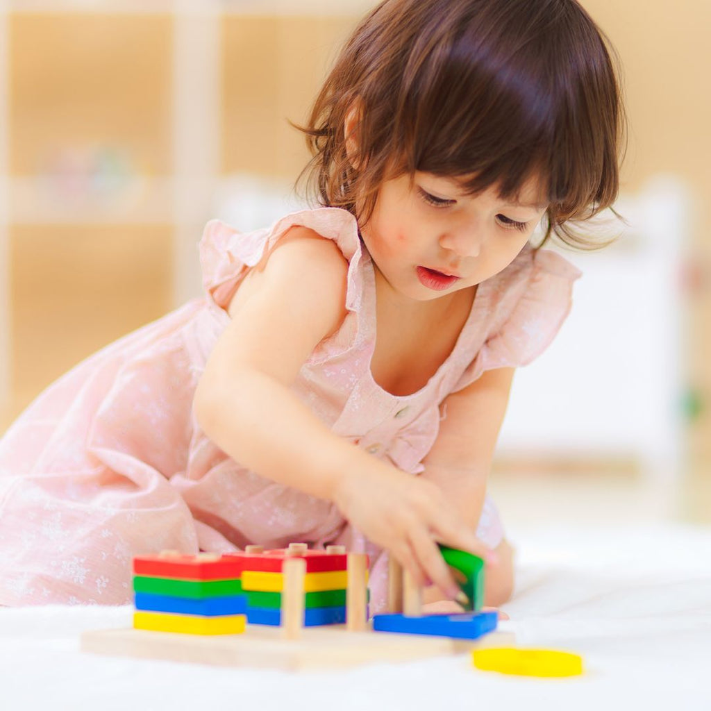 PlanToysPlanToys Sorting Board | Playroom Avenue
