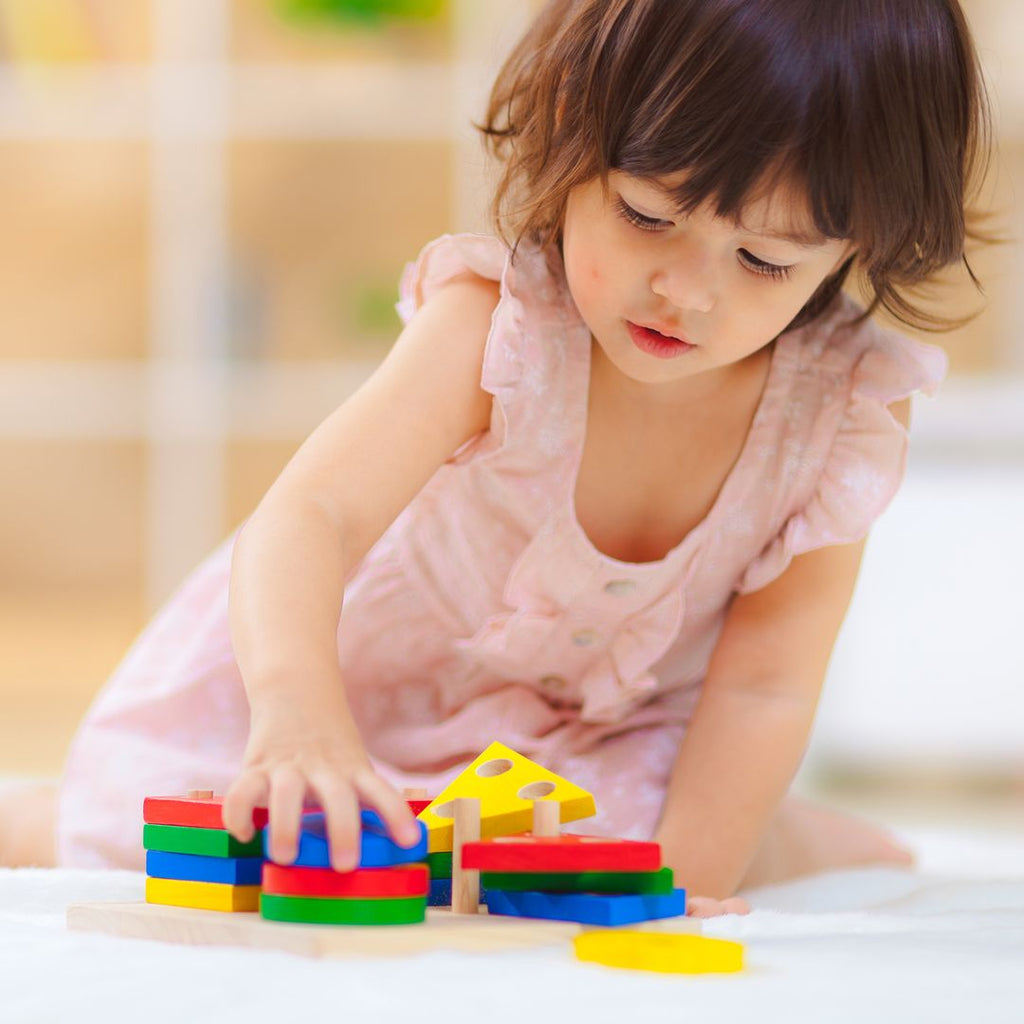 PlanToysPlanToys Sorting Board | Playroom Avenue