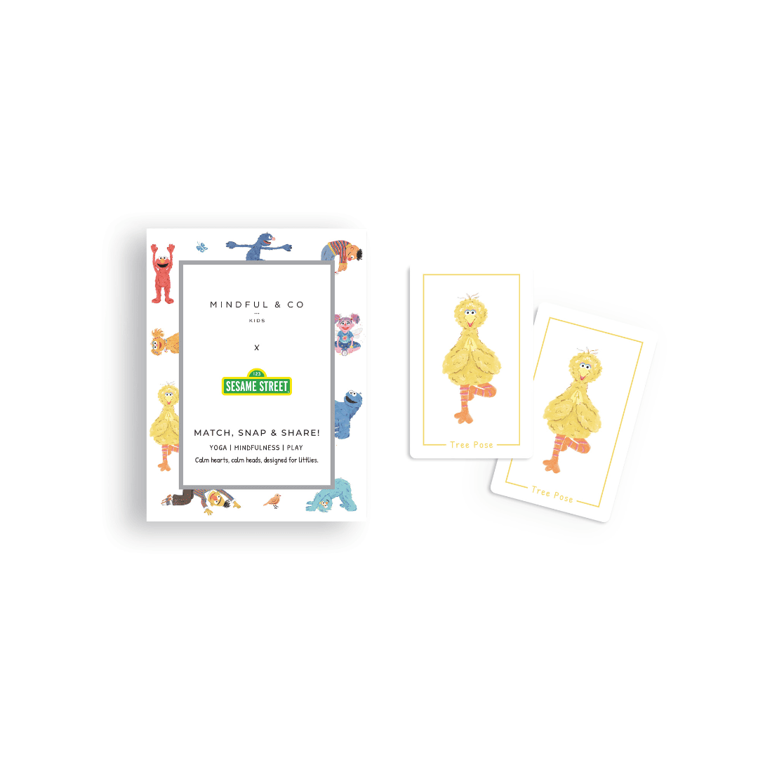 Mindful And Co Sesame Street 3-in-1 Card Game | Playroom Avenue
