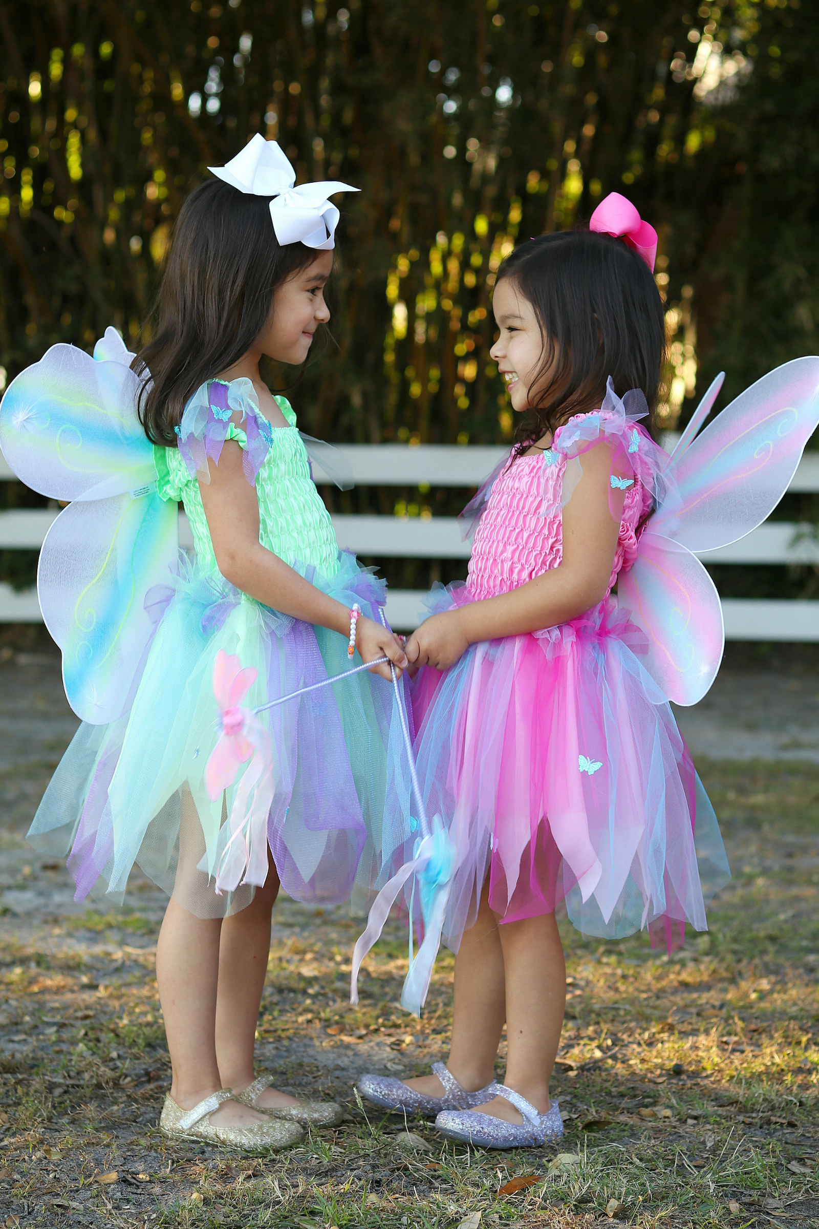 Great Pretenders Butterfly Dress & Wings with Wand | Playroom Avenue