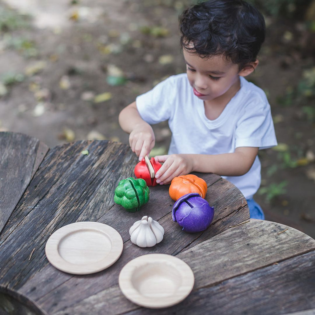 PlanToys 5 Colors Veggie Set | Playroom Avenue