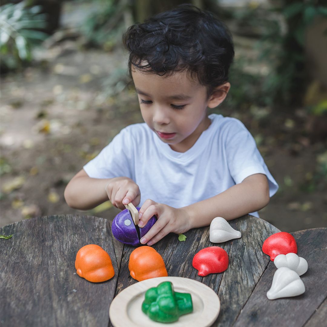 PlanToys 5 Colors Veggie Set | Playroom Avenue