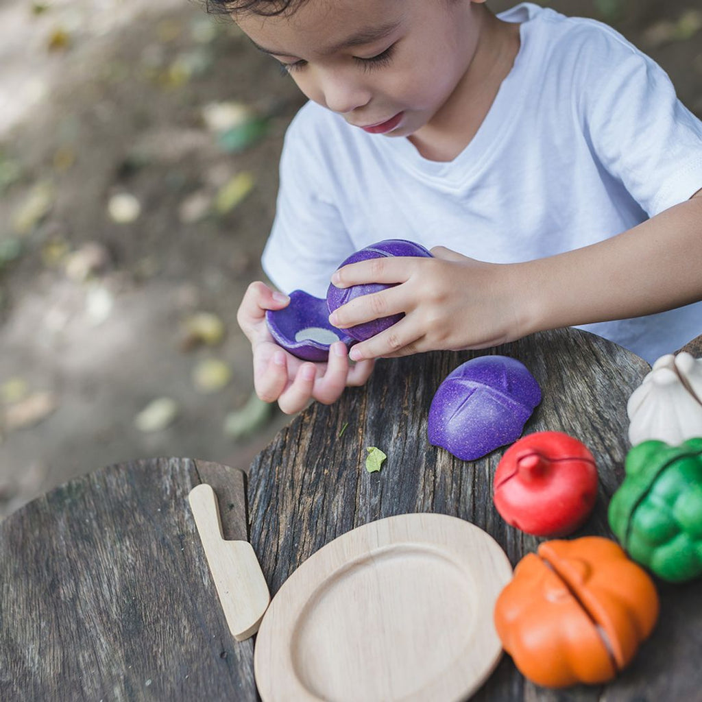 PlanToys 5 Colors Veggie Set | Playroom Avenue