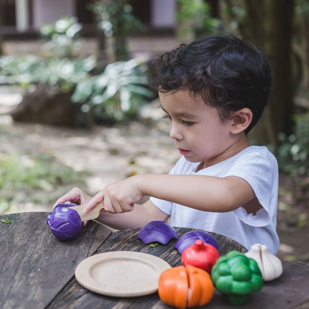 PlanToys 5 Colors Veggie Set | Playroom Avenue