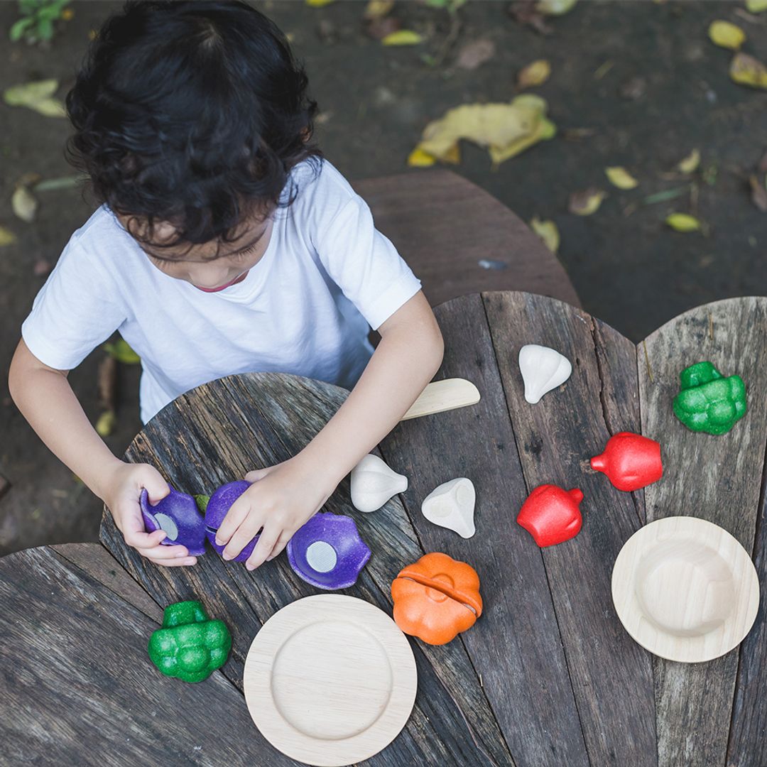 PlanToys 5 Colors Veggie Set | Playroom Avenue