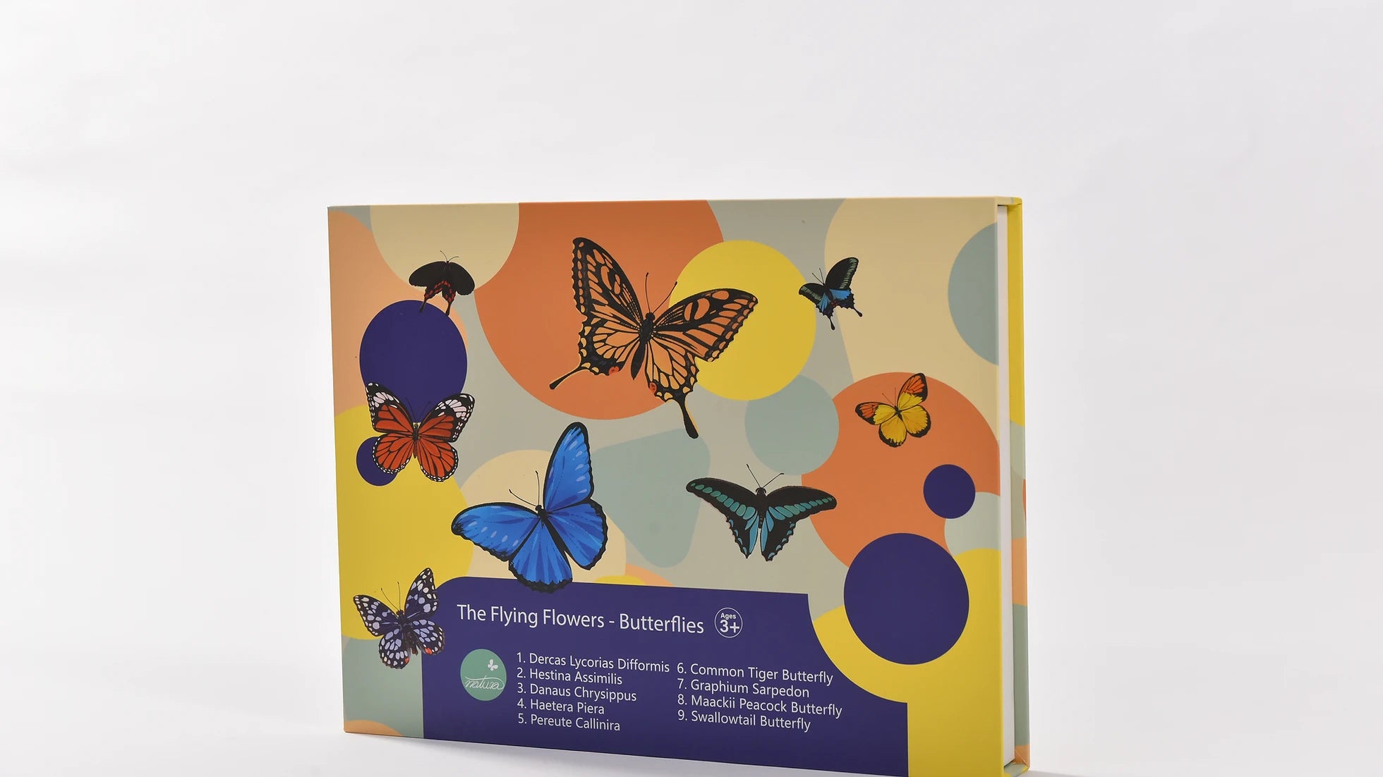 Natura Butterfly Specimen Set