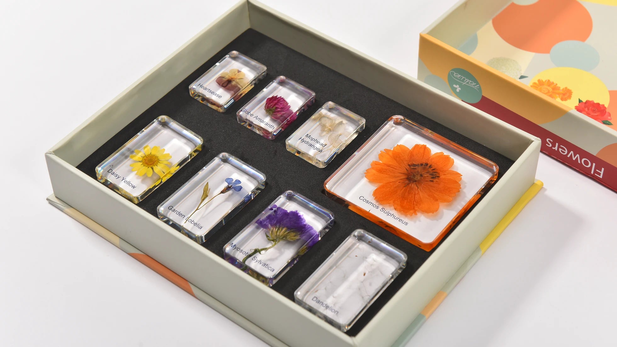 Natura Flowers Specimen Set