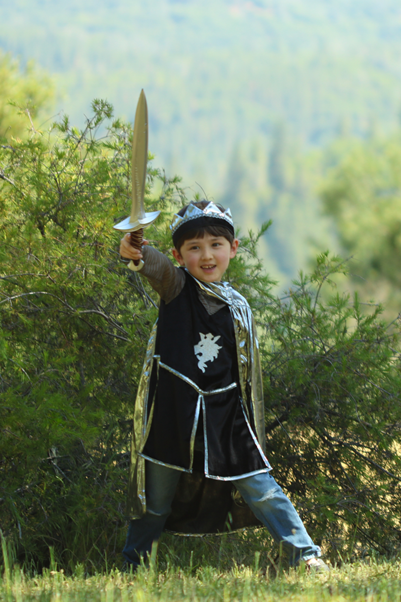 Great Pretenders Knight Set with Tunic, Cape and Crown Silver | Playroom Avenue