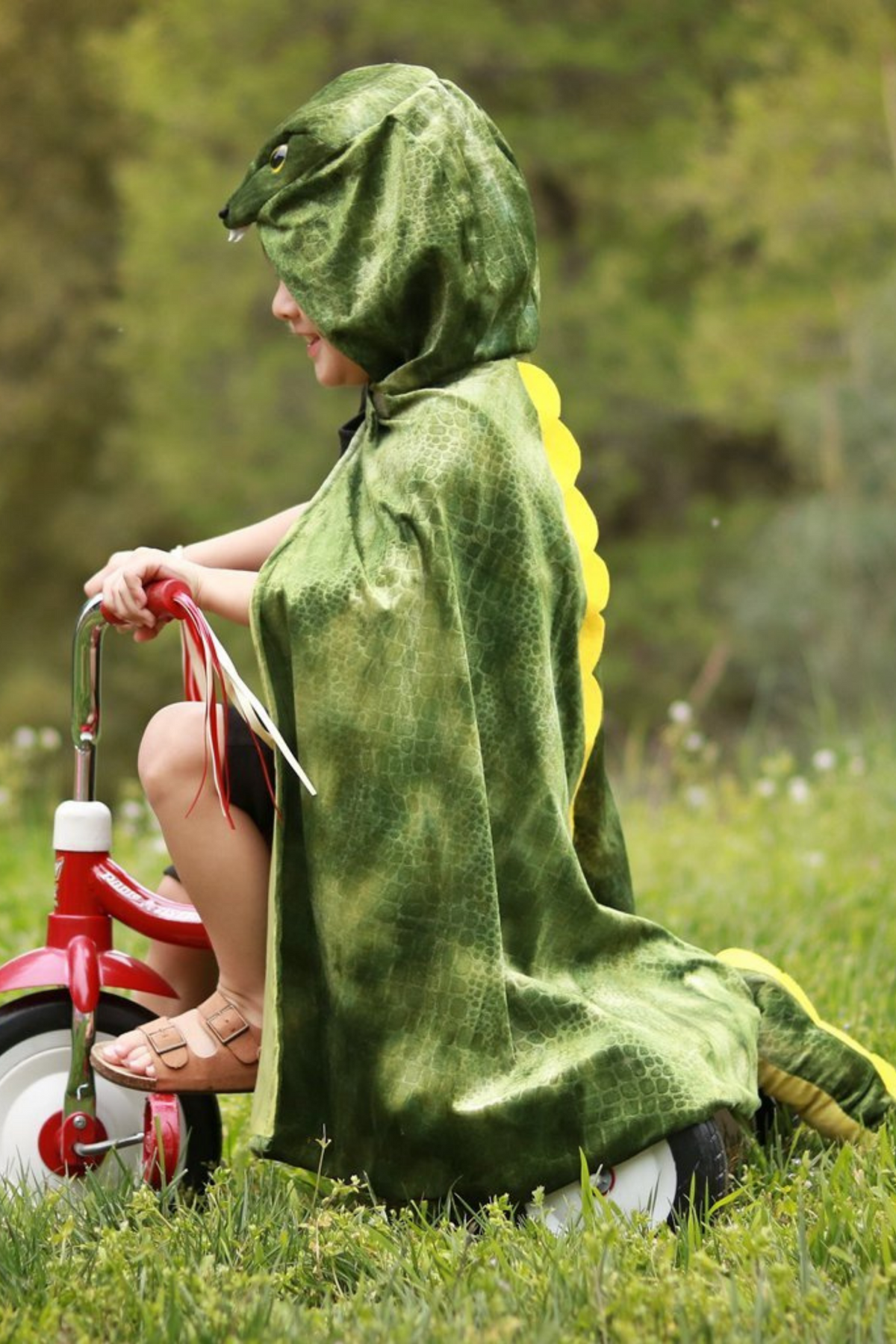 Great Pretenders T-Rex Hooded Dinosaur Cape