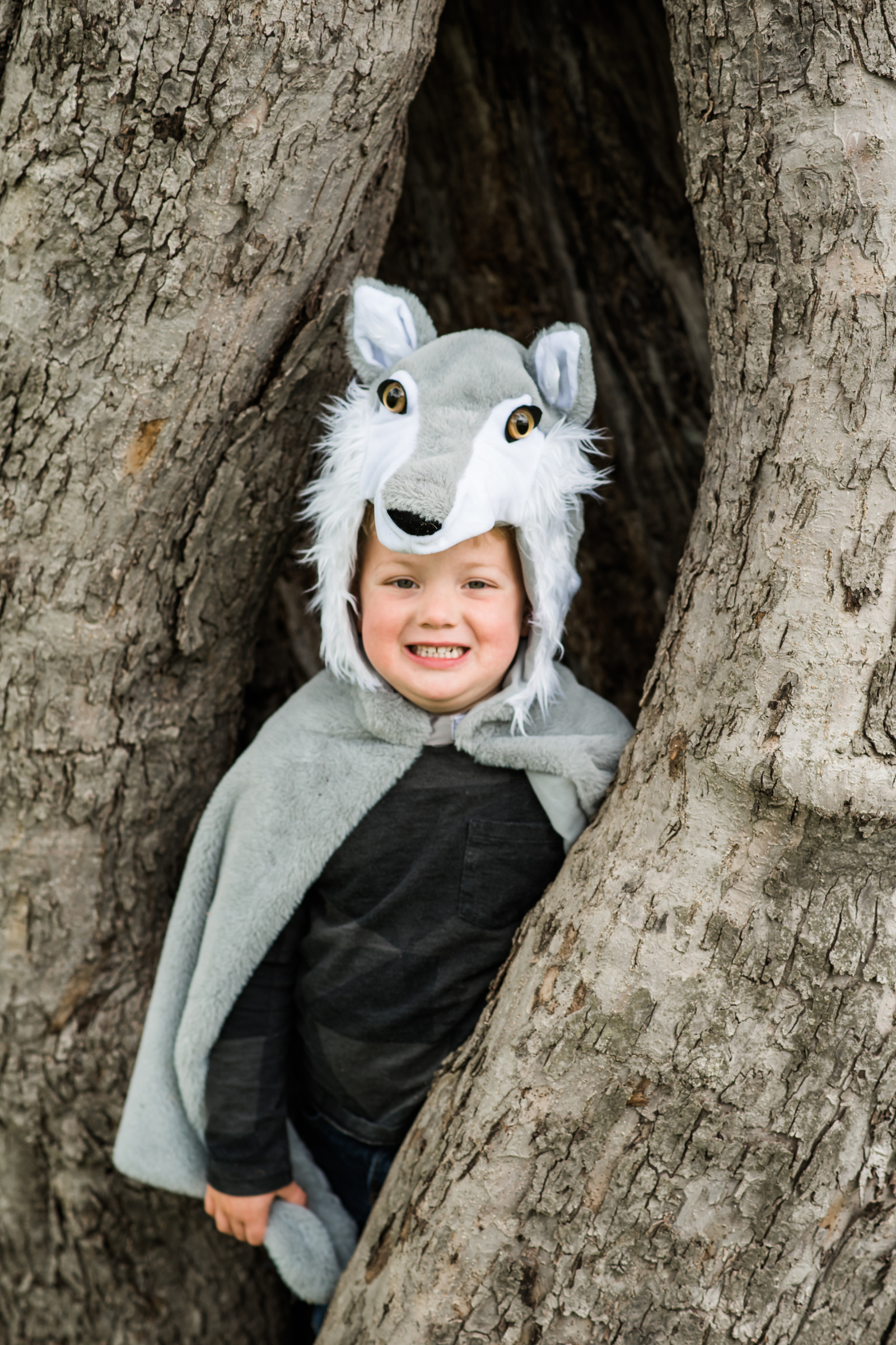 Great Pretenders Woodland Storybook Wolf Cape | Playroom Avenue