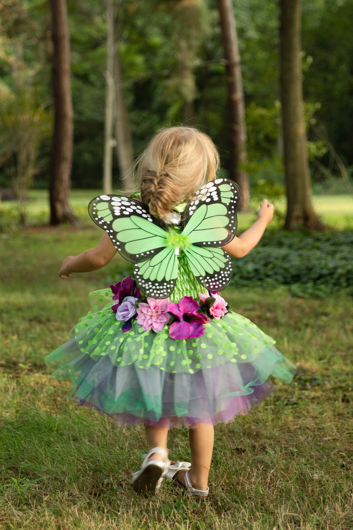Great Pretenders Fairy Blooms Deluxe Dress & Wings
