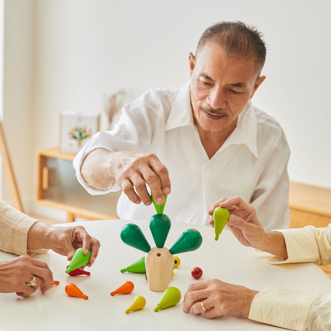 PlanToys Balancing Cactusㅤ | Playroom Avenue