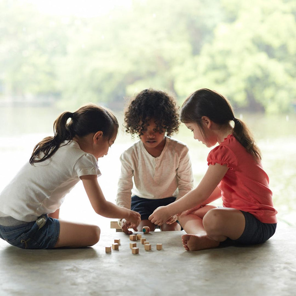 PlanToys Memo Game - PlanMini | Playroom Avenue