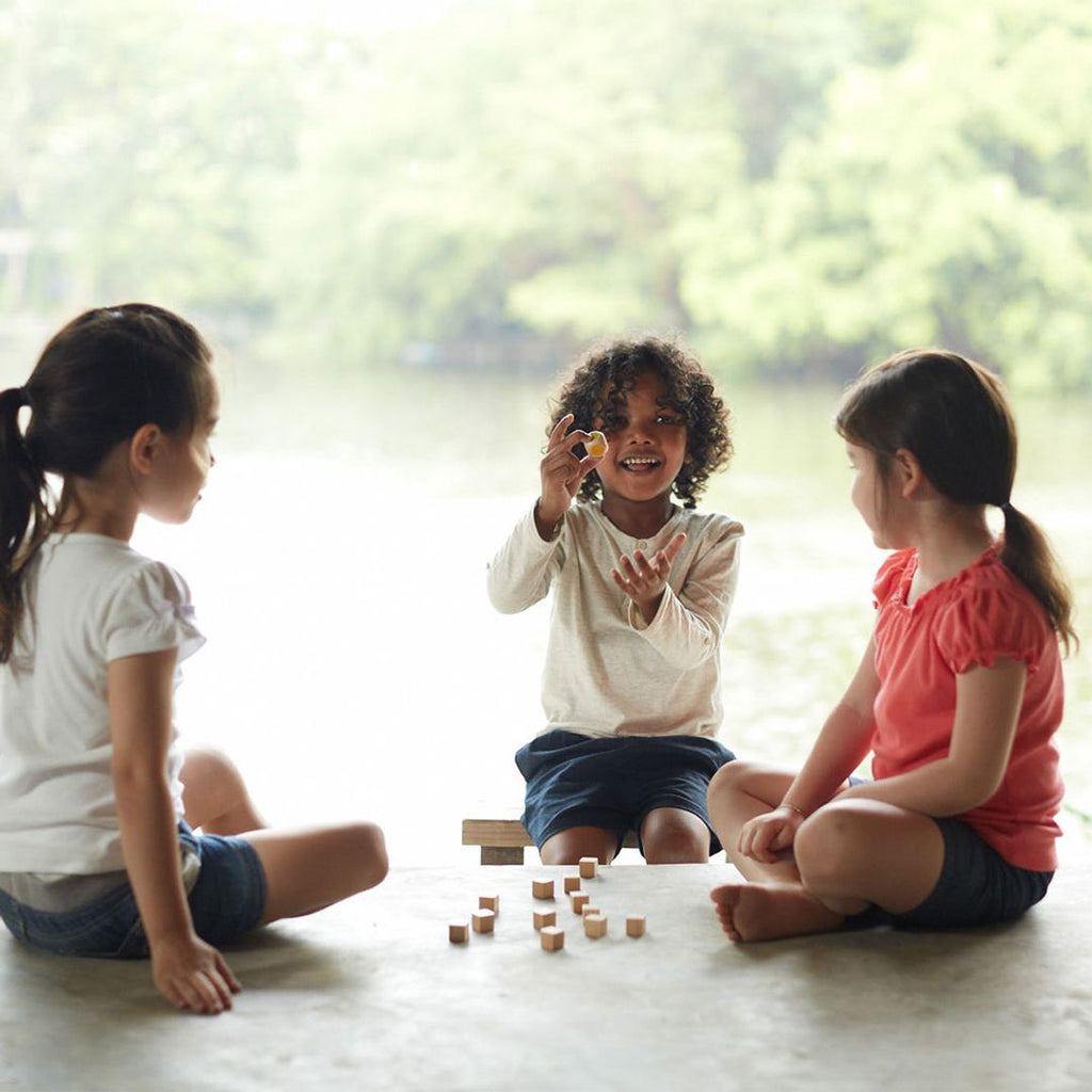 PlanToys Memo Game - PlanMini | Playroom Avenue