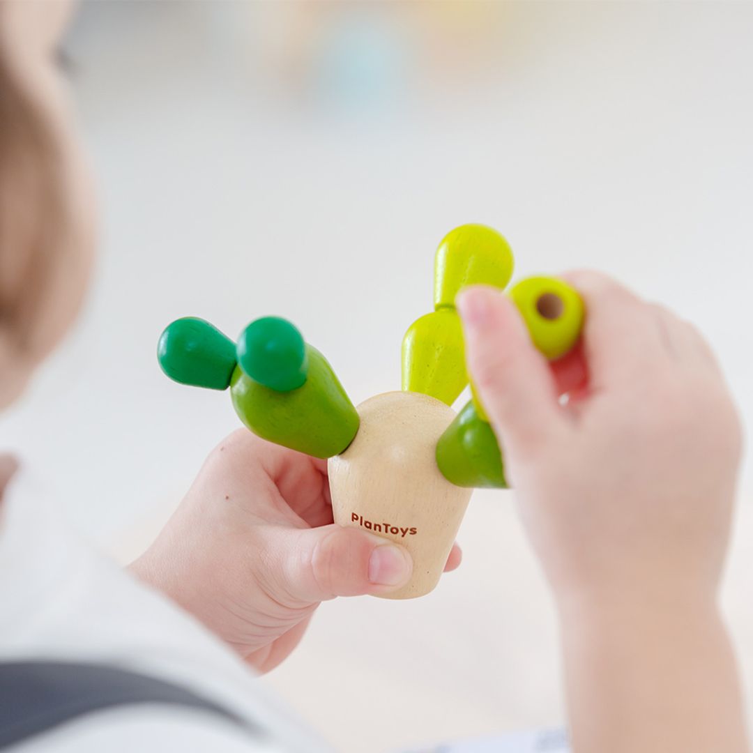 PlanToys Mini Balancing Cactus | Playroom Avenue
