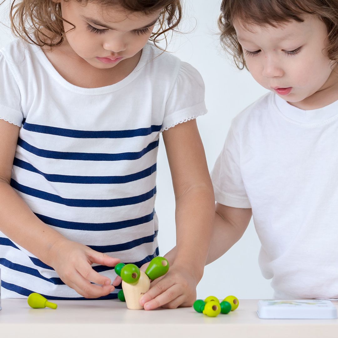 PlanToys Mini Balancing Cactus | Playroom Avenue