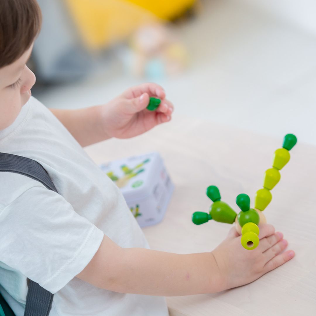 PlanToys Mini Balancing Cactus | Playroom Avenue