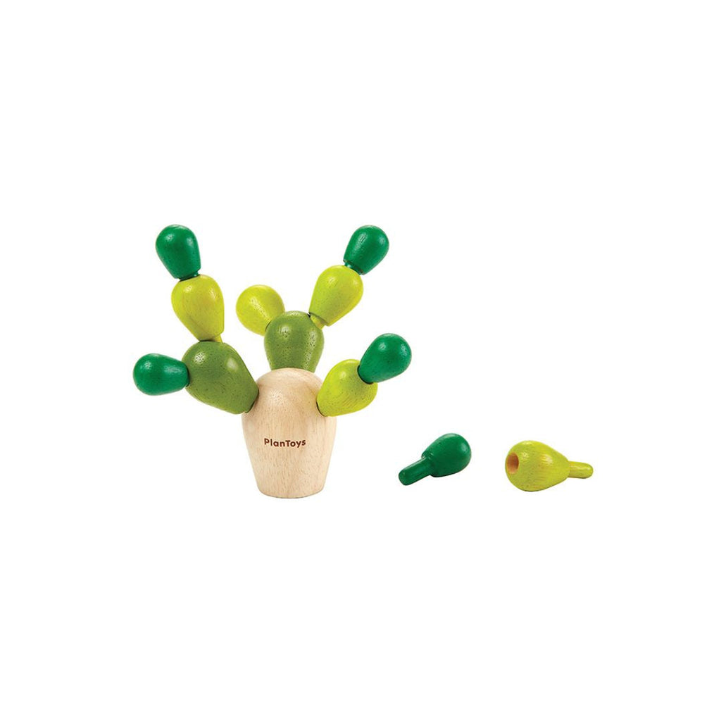 PlanToys Mini Balancing Cactus | Playroom Avenue