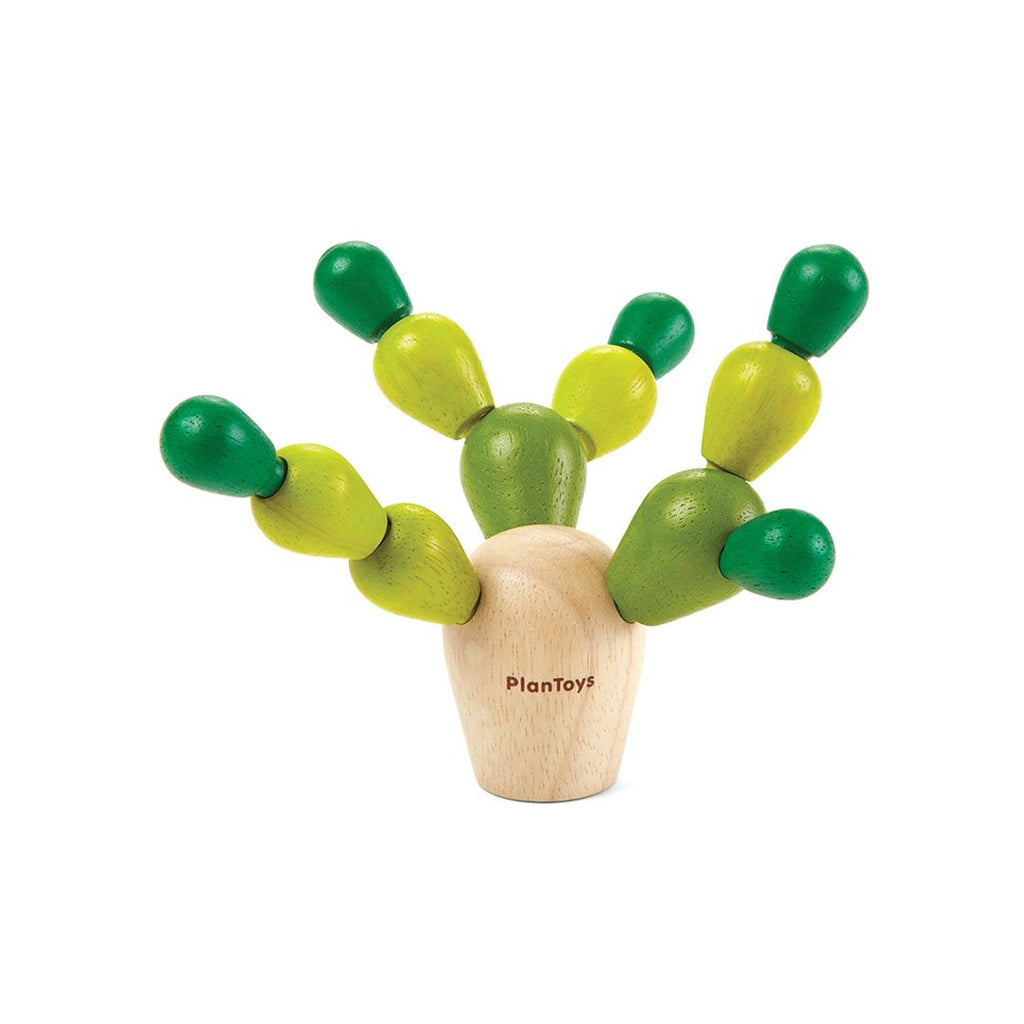 PlanToys Mini Balancing Cactus | Playroom Avenue