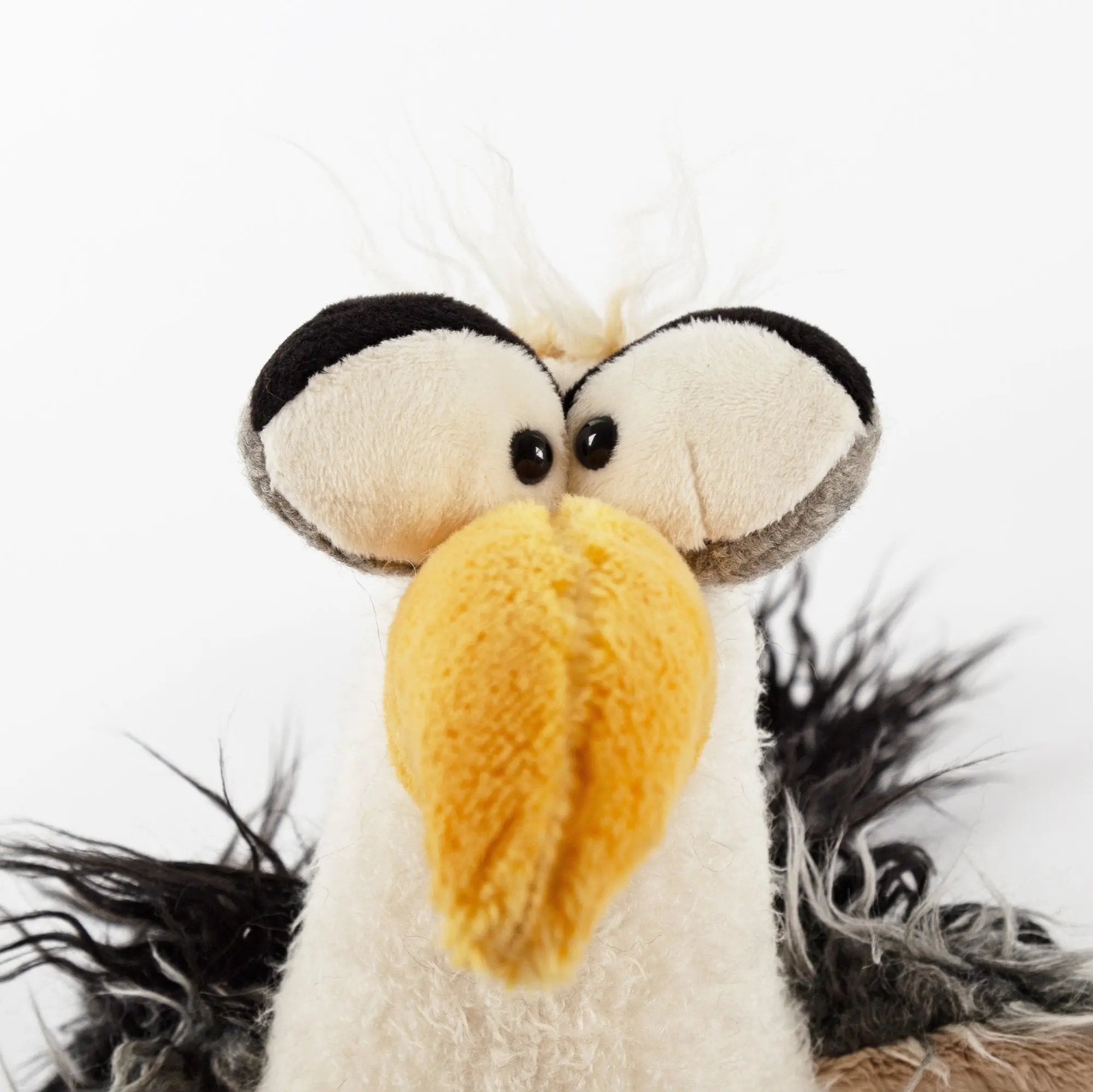 Sigikid Loud in the Cloud