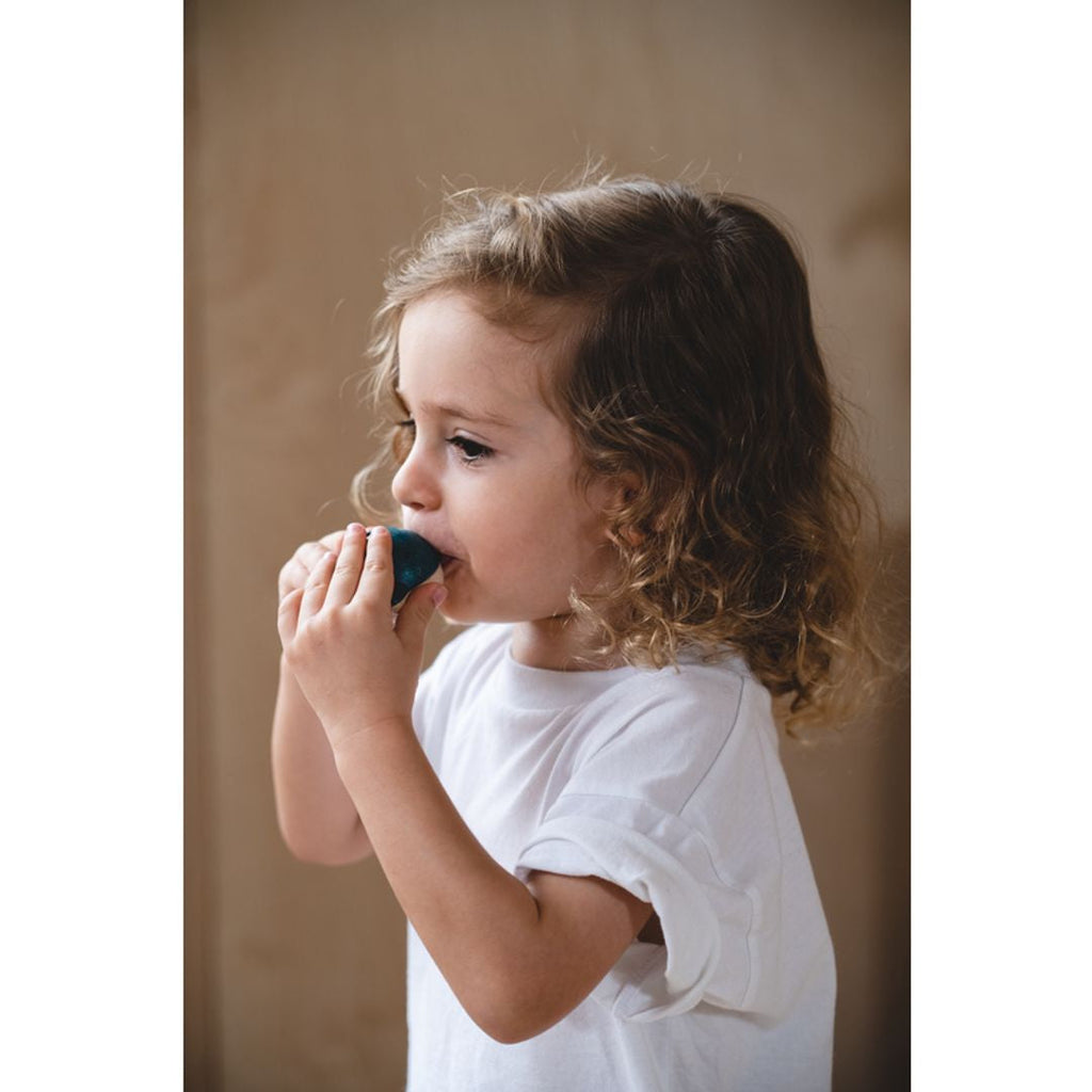 PlanToys Dolphin Whistle | Playroom Avenue