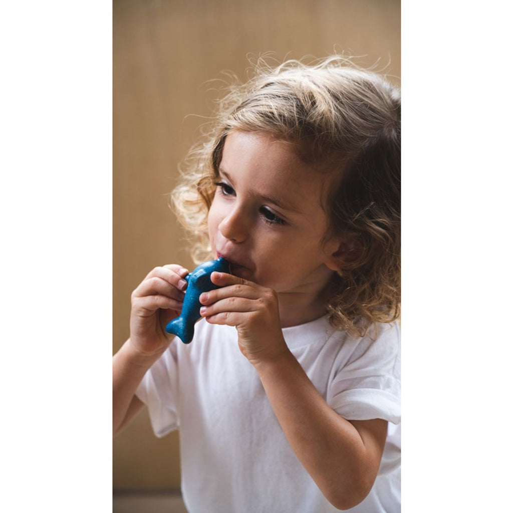 PlanToys Dolphin Whistle | Playroom Avenue