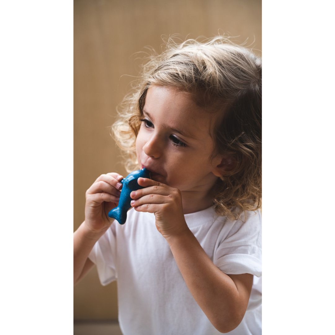 PlanToys Dolphin Whistle | Playroom Avenue