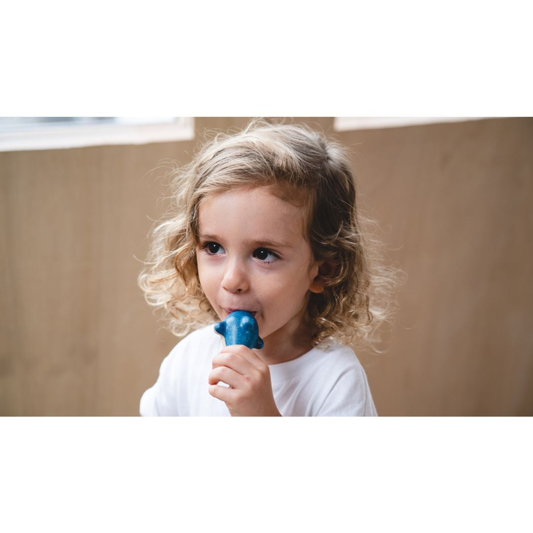 PlanToys Dolphin Whistle | Playroom Avenue