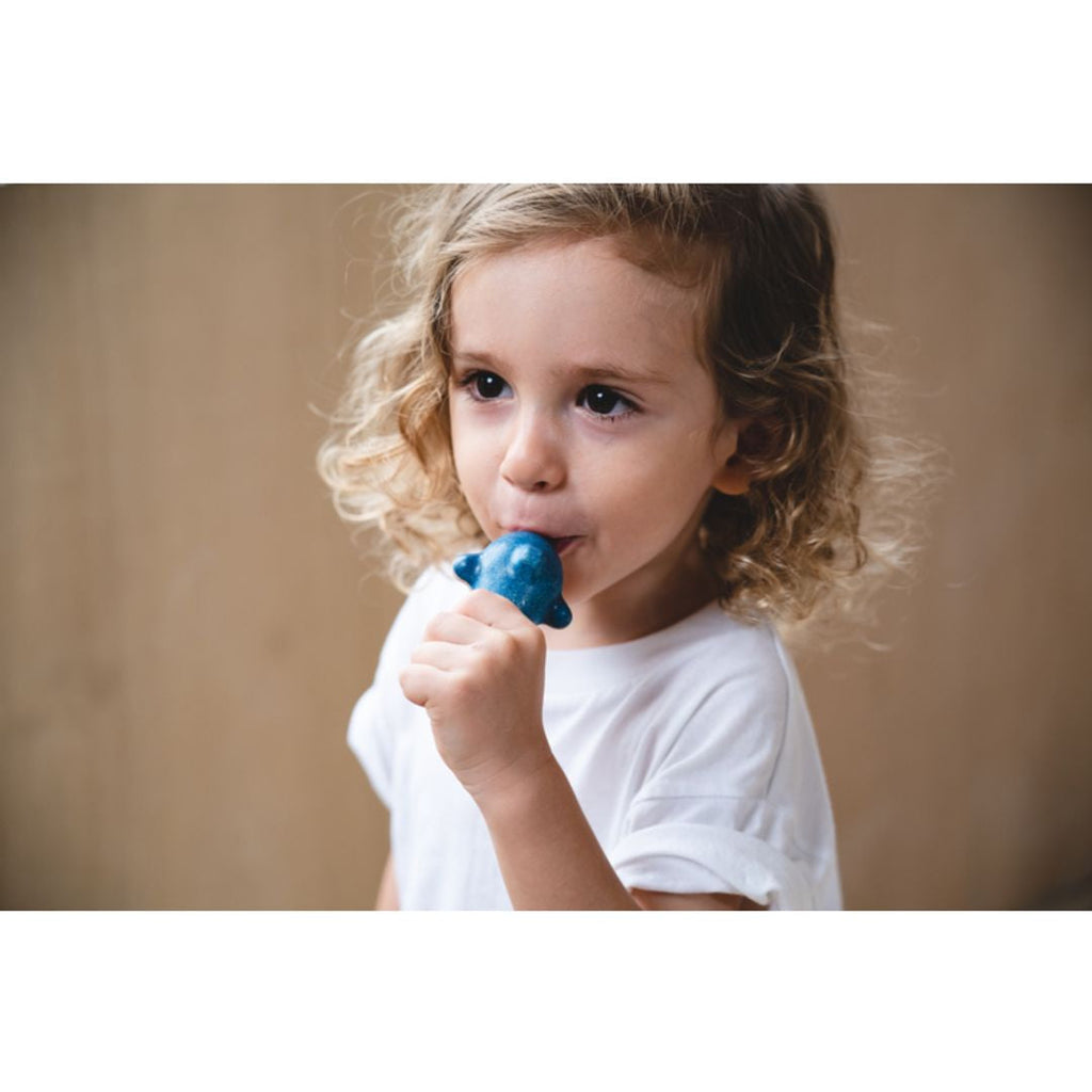 PlanToys Dolphin Whistle | Playroom Avenue