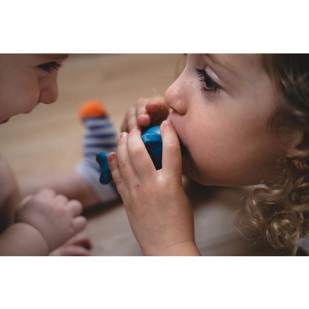 PlanToys Dolphin Whistle | Playroom Avenue