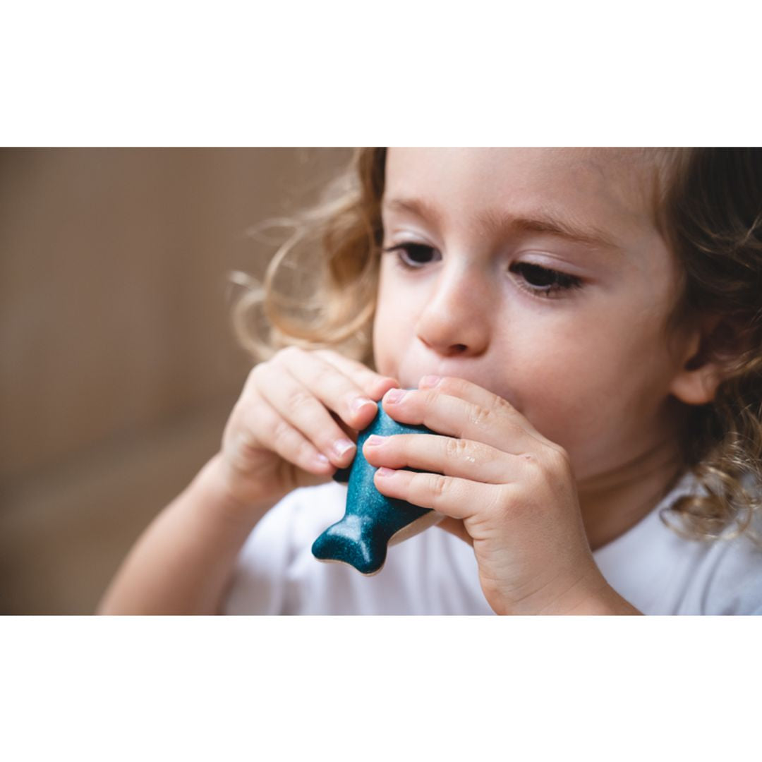 PlanToys Whale Whistle | Playroom Avenue