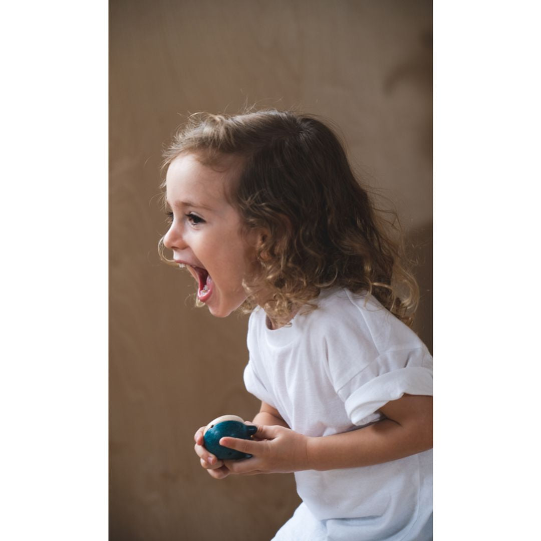 PlanToys Whale Whistle | Playroom Avenue