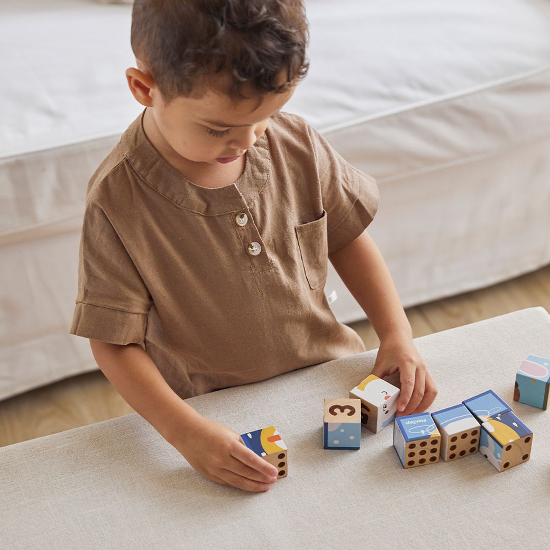 PlanToys Animal Puzzle Cubes | Playroom Avenue