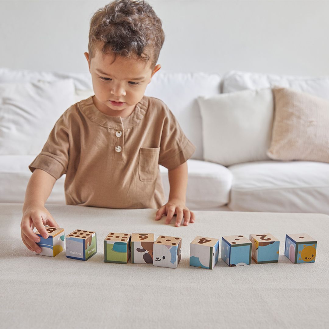 PlanToys Animal Puzzle Cubes | Playroom Avenue
