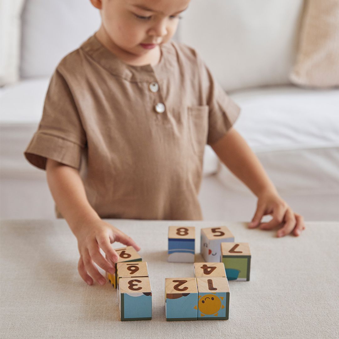 PlanToys Animal Puzzle Cubes | Playroom Avenue