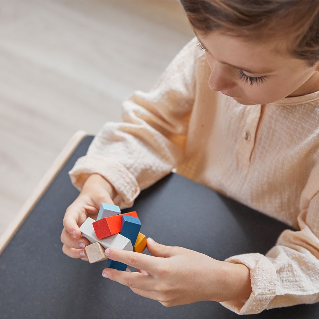 PlanToys Rectangular Puzzle - PlanMini | Playroom Avenue