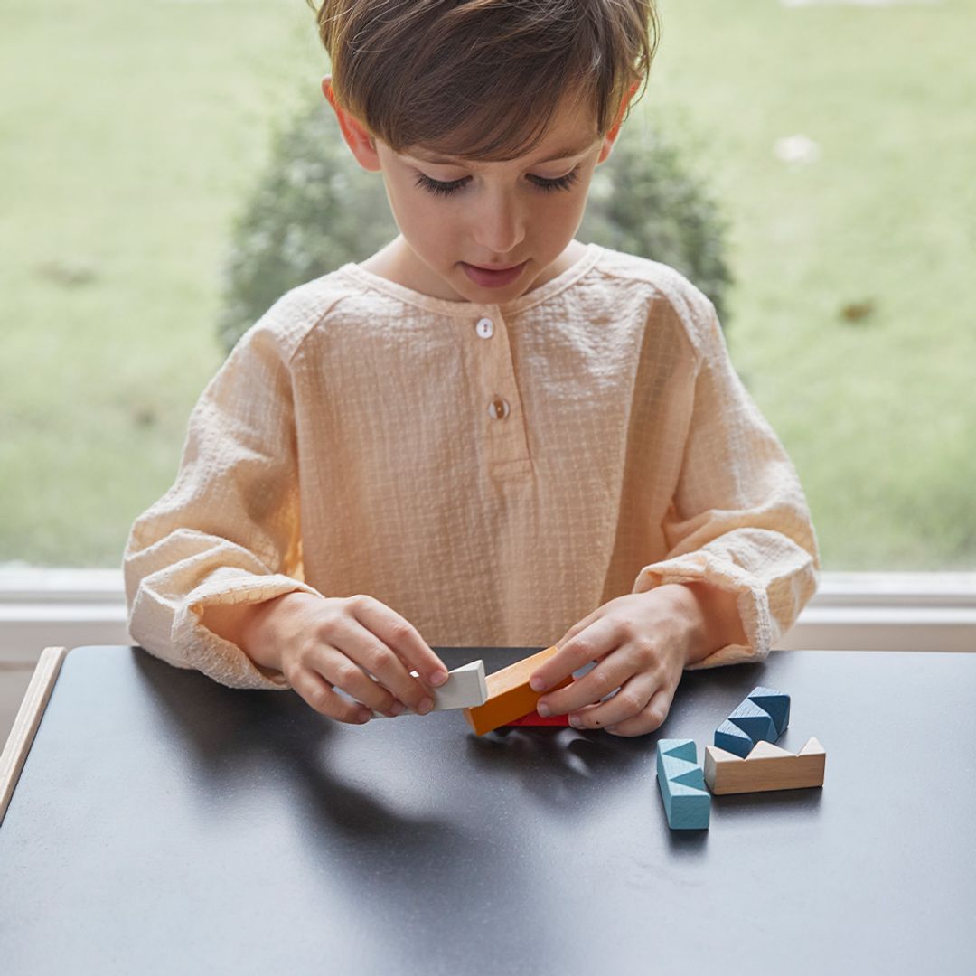 PlanToys Rectangular Puzzle - PlanMini | Playroom Avenue