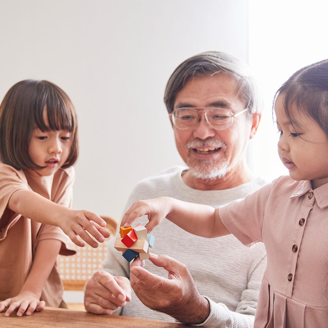 PlanToys Rectangular Puzzle - PlanMini | Playroom Avenue