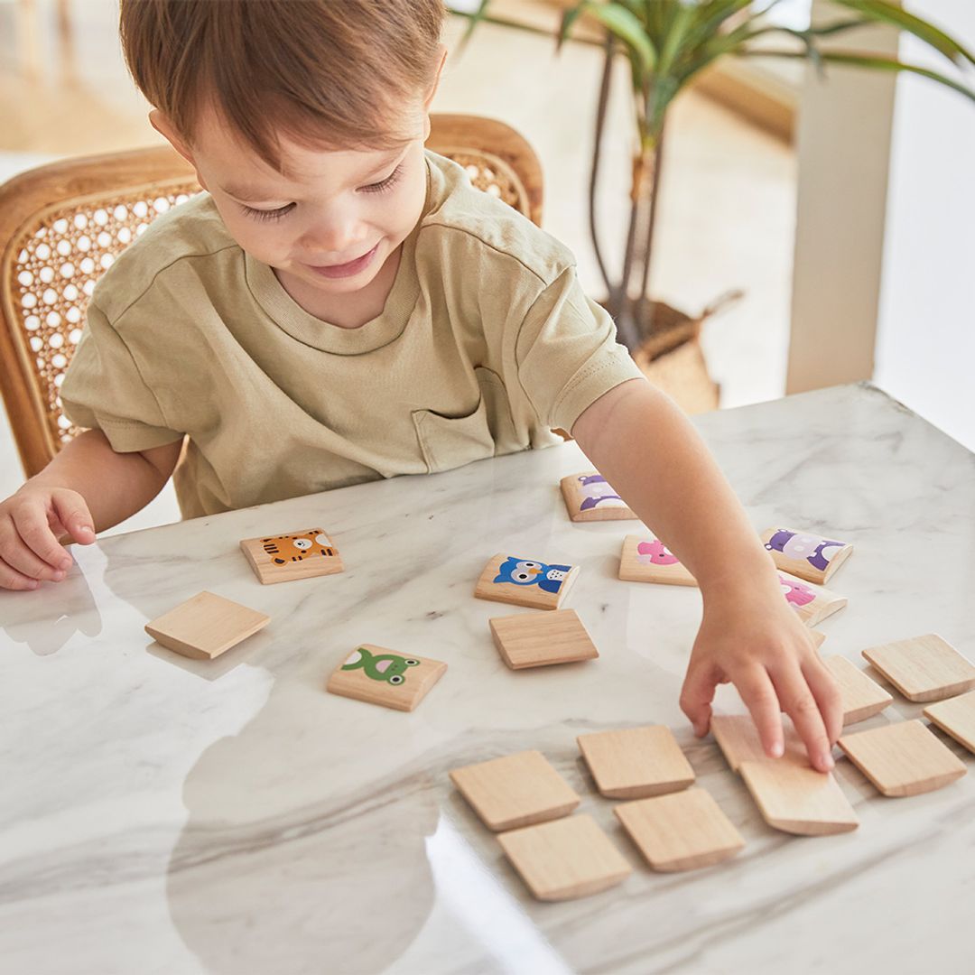 PlanToys Animals Memo | Playroom Avenue