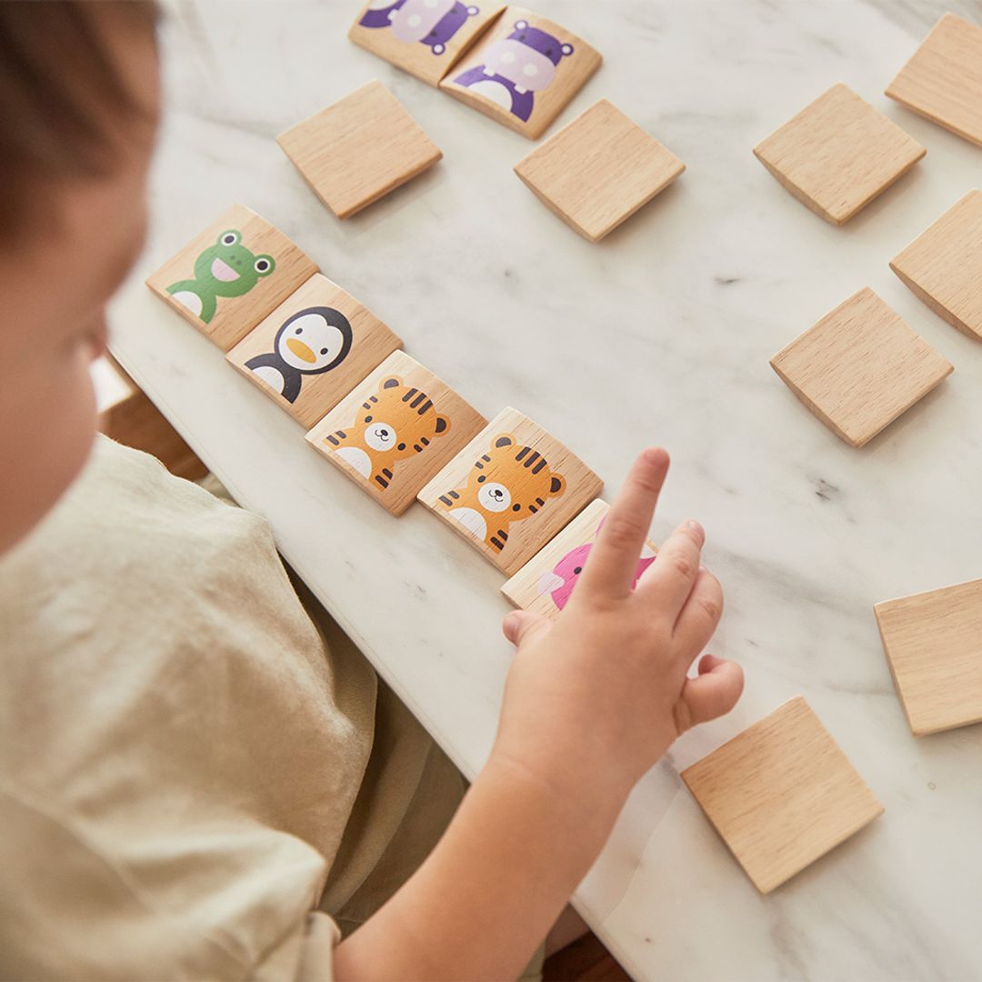 PlanToys Animals Memo | Playroom Avenue