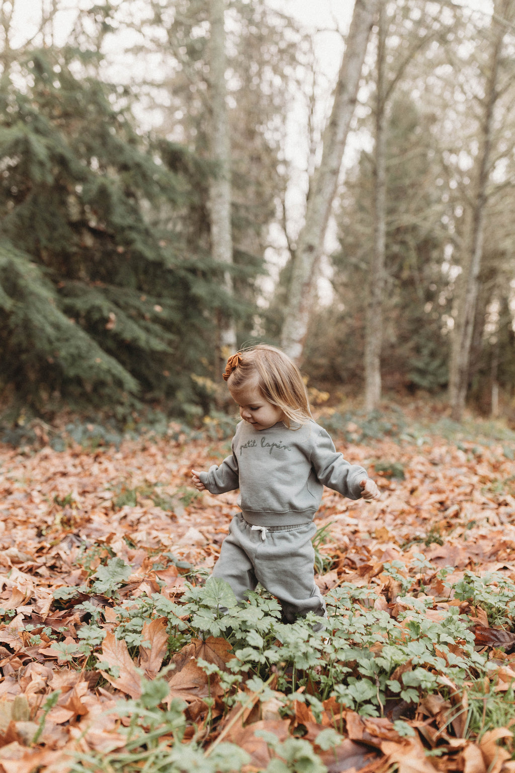 La Petit Lapin Finley | Cotton Fleece Sweatsuit Set | Petit Lapin | Mulled Basil | Playroom Avenue