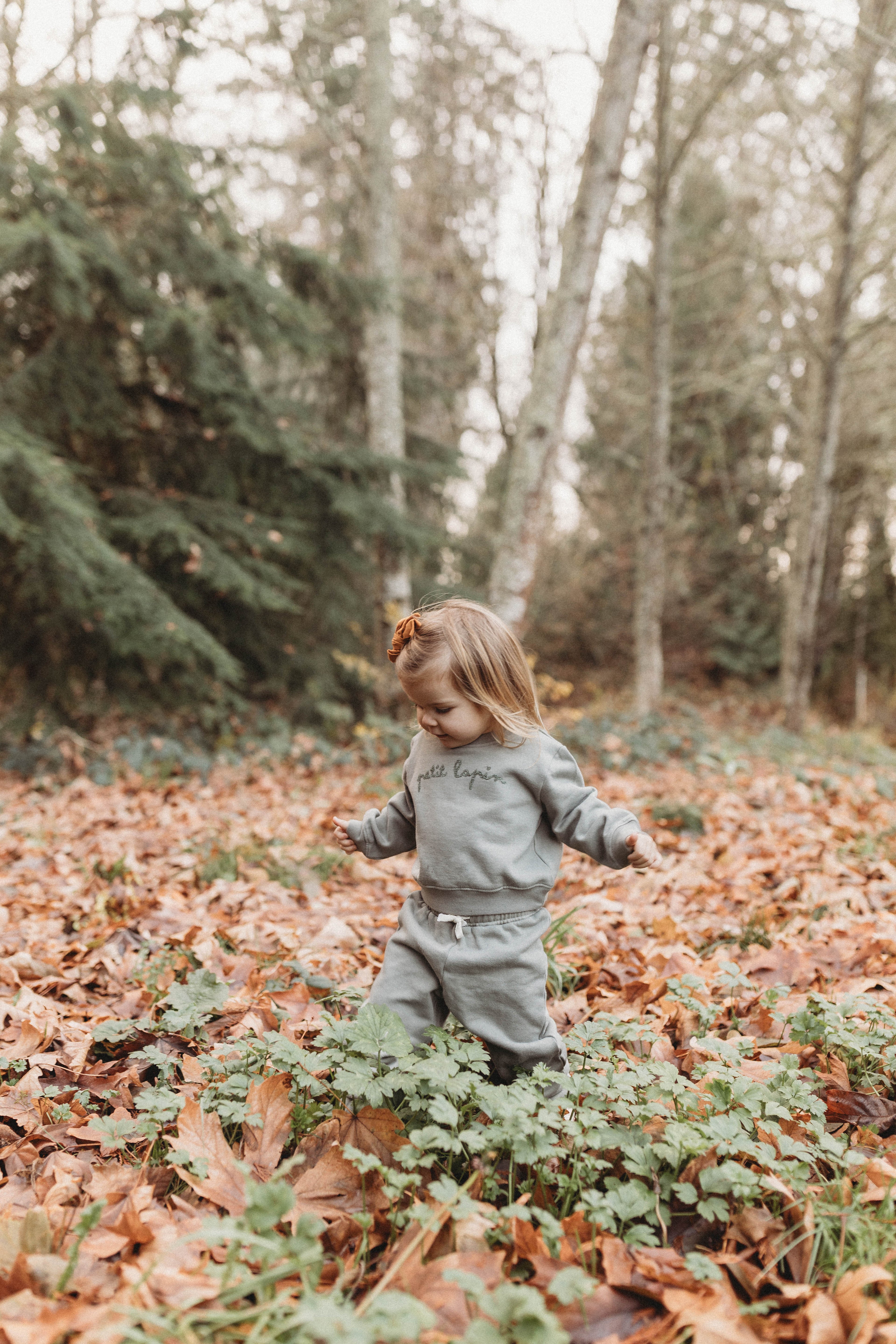 La Petit Lapin Finley | Cotton Fleece Sweatsuit Set | Petit Lapin | Mulled Basil | Playroom Avenue