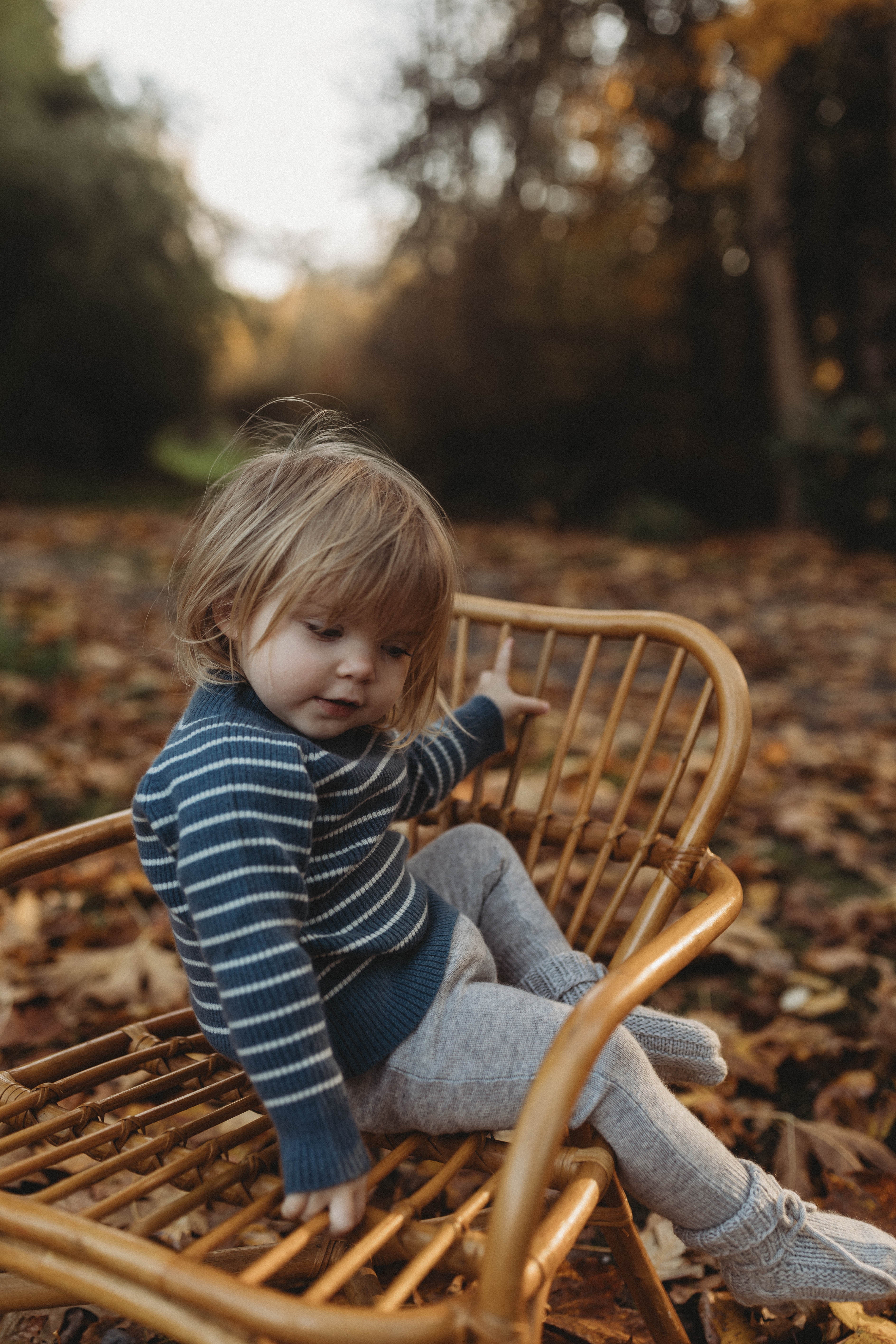 La Petit Lapin Cashmere Sweater | Navy/Creme | Playroom Avenue